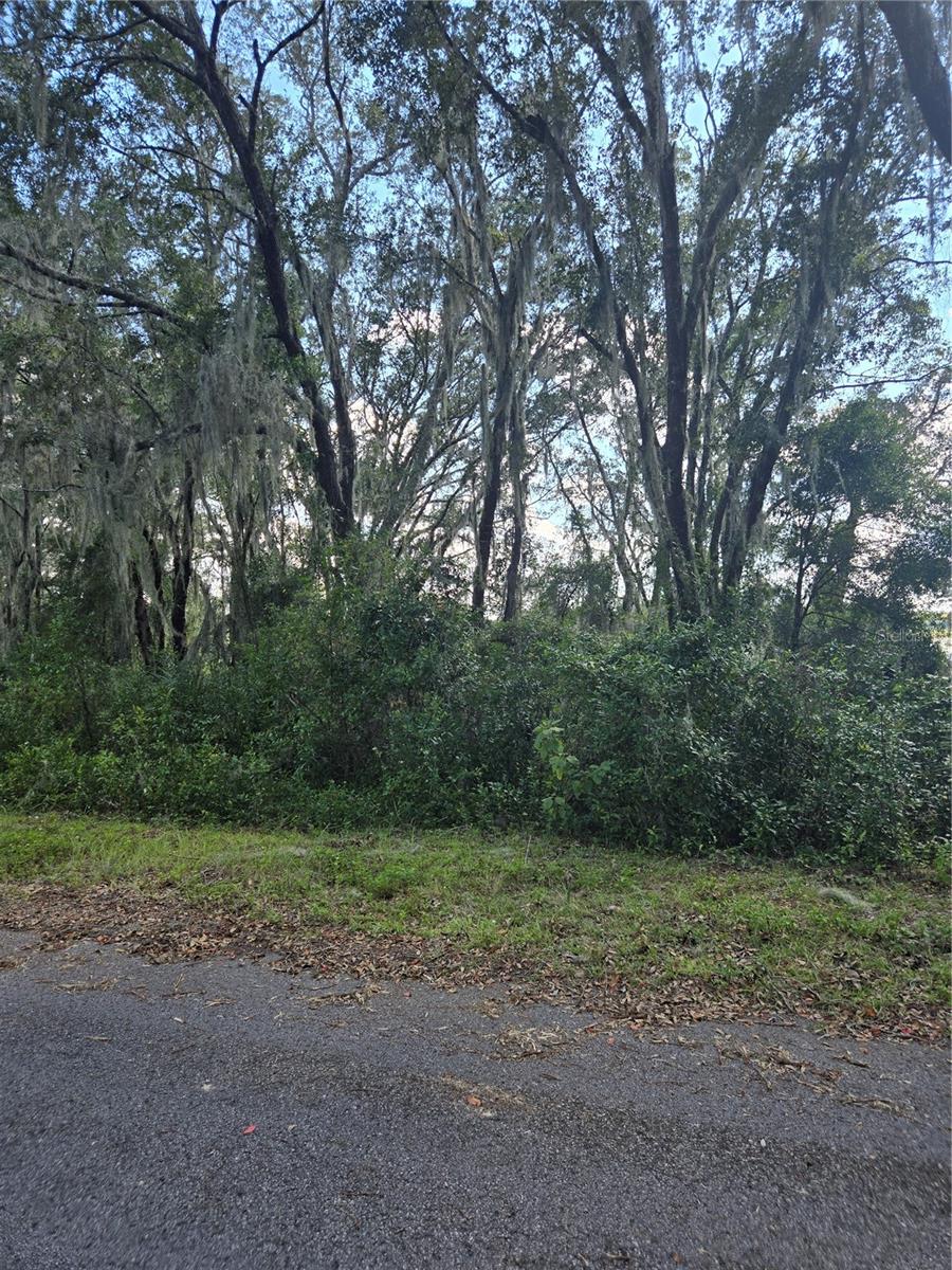 TBD SW SHOREWOOD DR N, DUNNELLON, FL, 34431