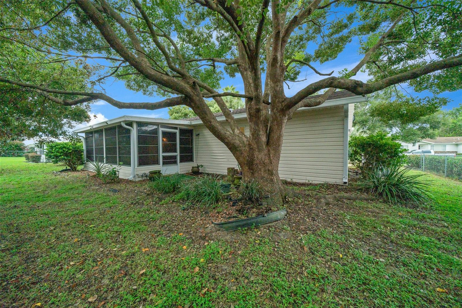 17521 SE 96TH CT, SUMMERFIELD, FL, 34491