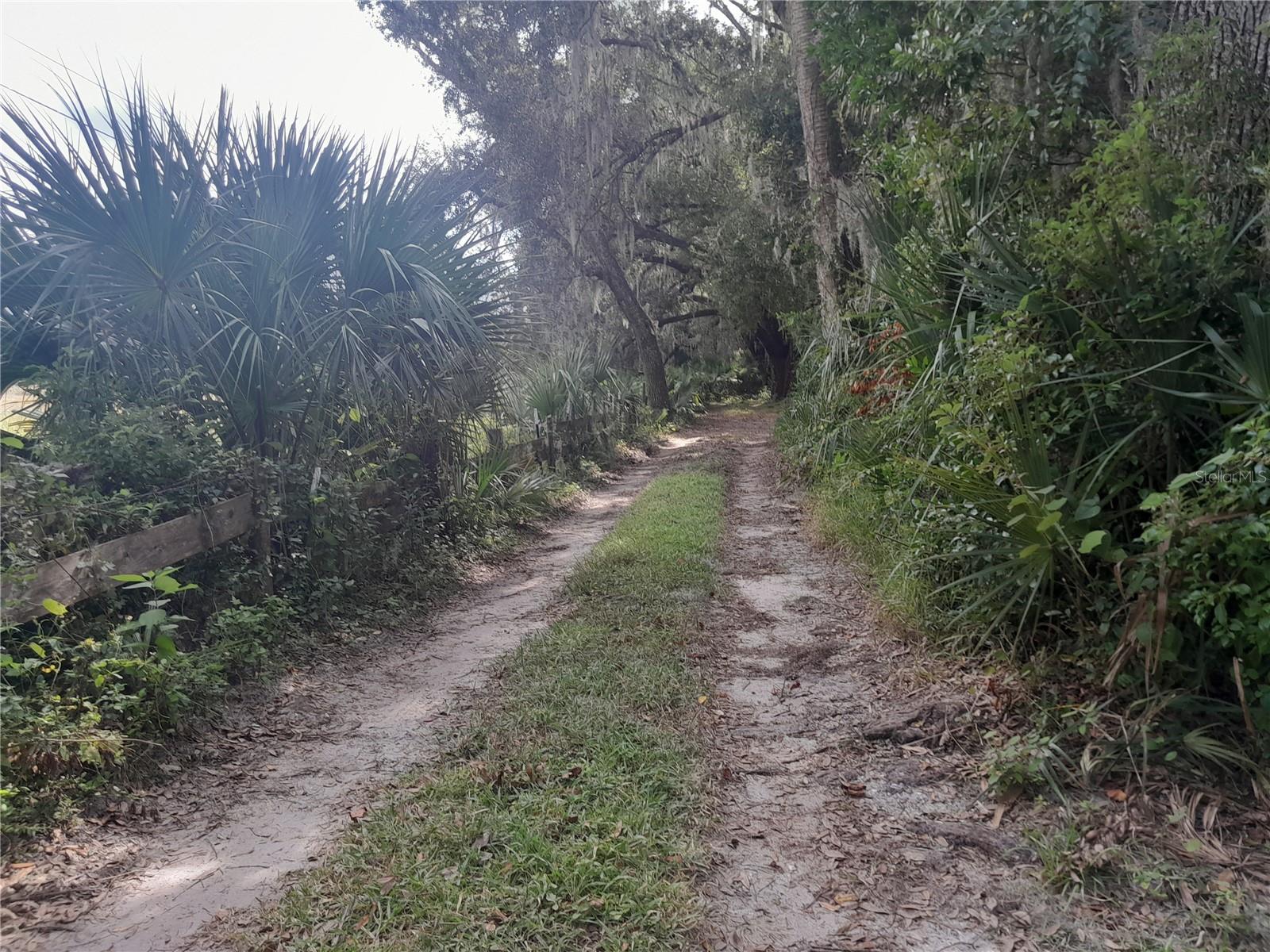 W BERESFORD AVE, DELAND, FL, 32720