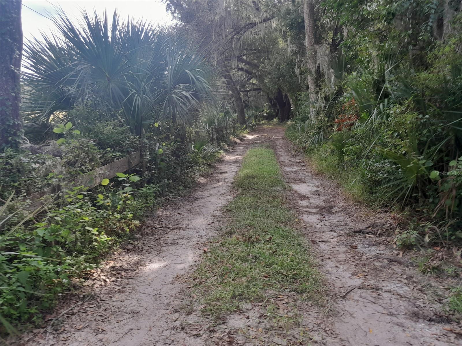 W BERESFORD AVE, DELAND, FL, 32720