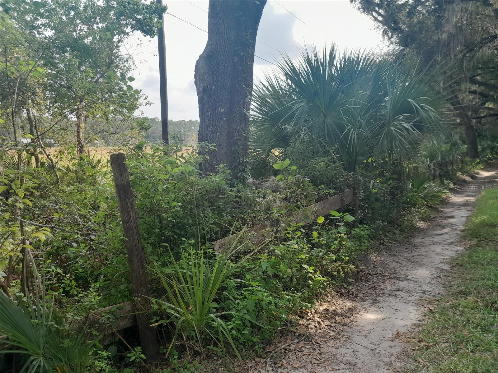 W BERESFORD AVE, DELAND, FL, 32720