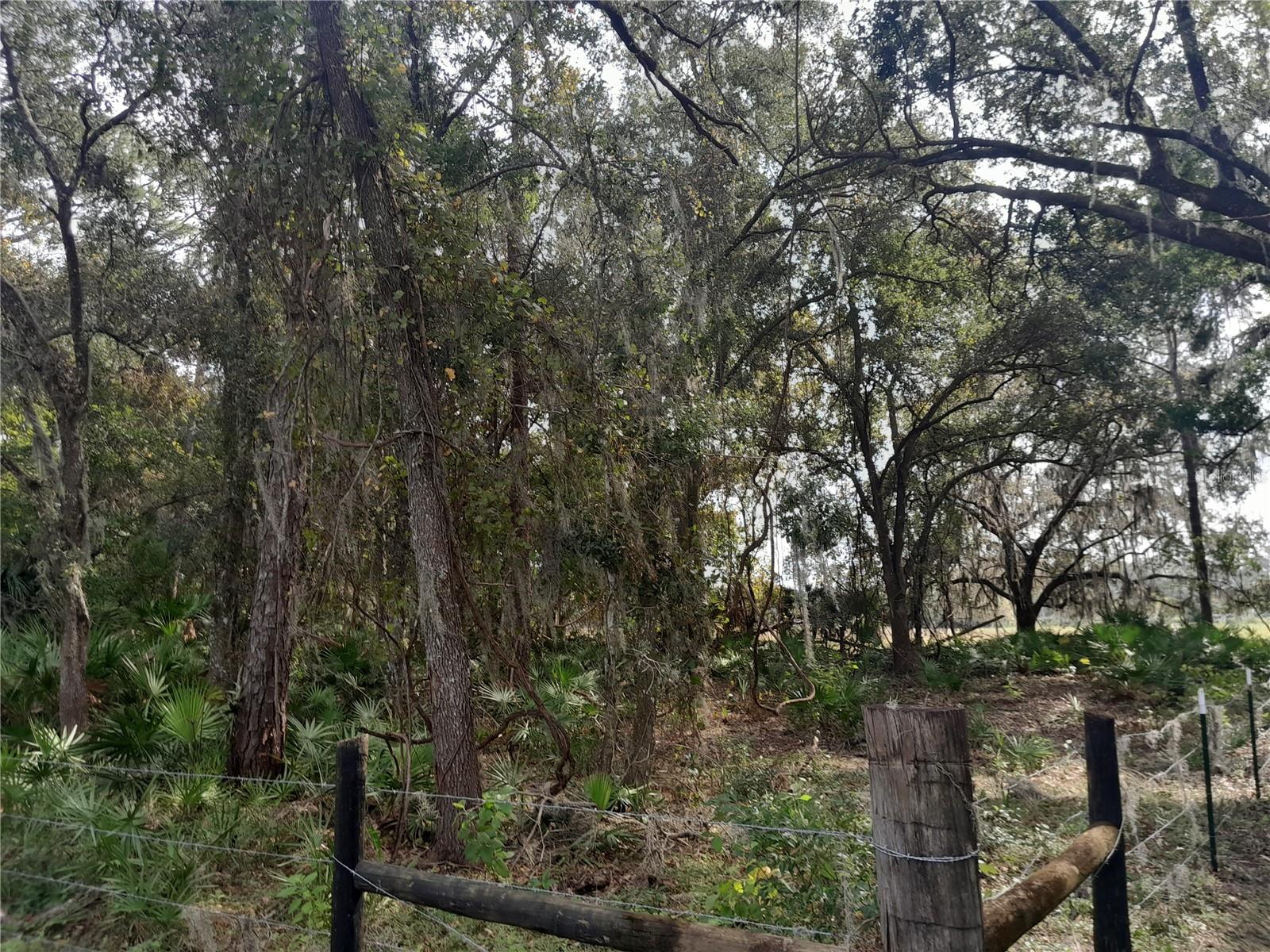 W BERESFORD AVE, DELAND, FL, 32720