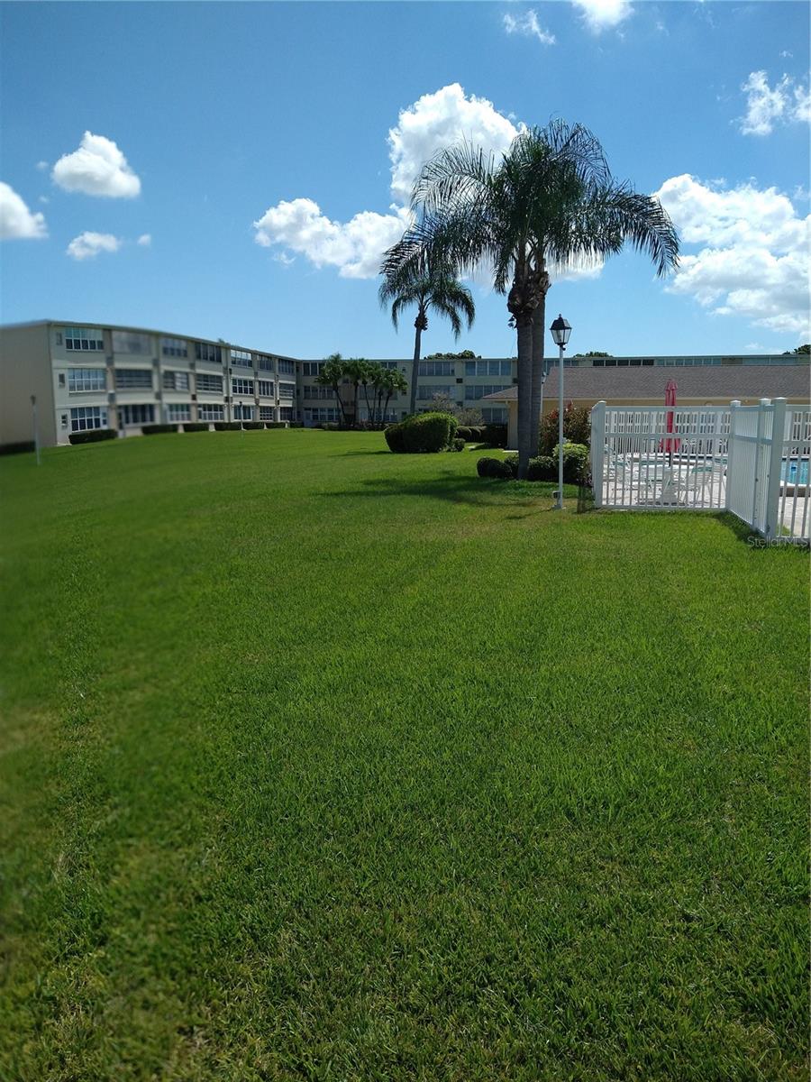 8100 DR MARTIN LUTHER KING JR ST N #208, ST PETERSBURG, FL, 33702