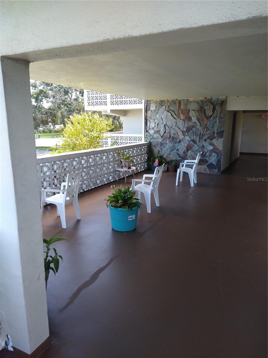 8100 DR MARTIN LUTHER KING JR ST N #208, ST PETERSBURG, FL, 33702