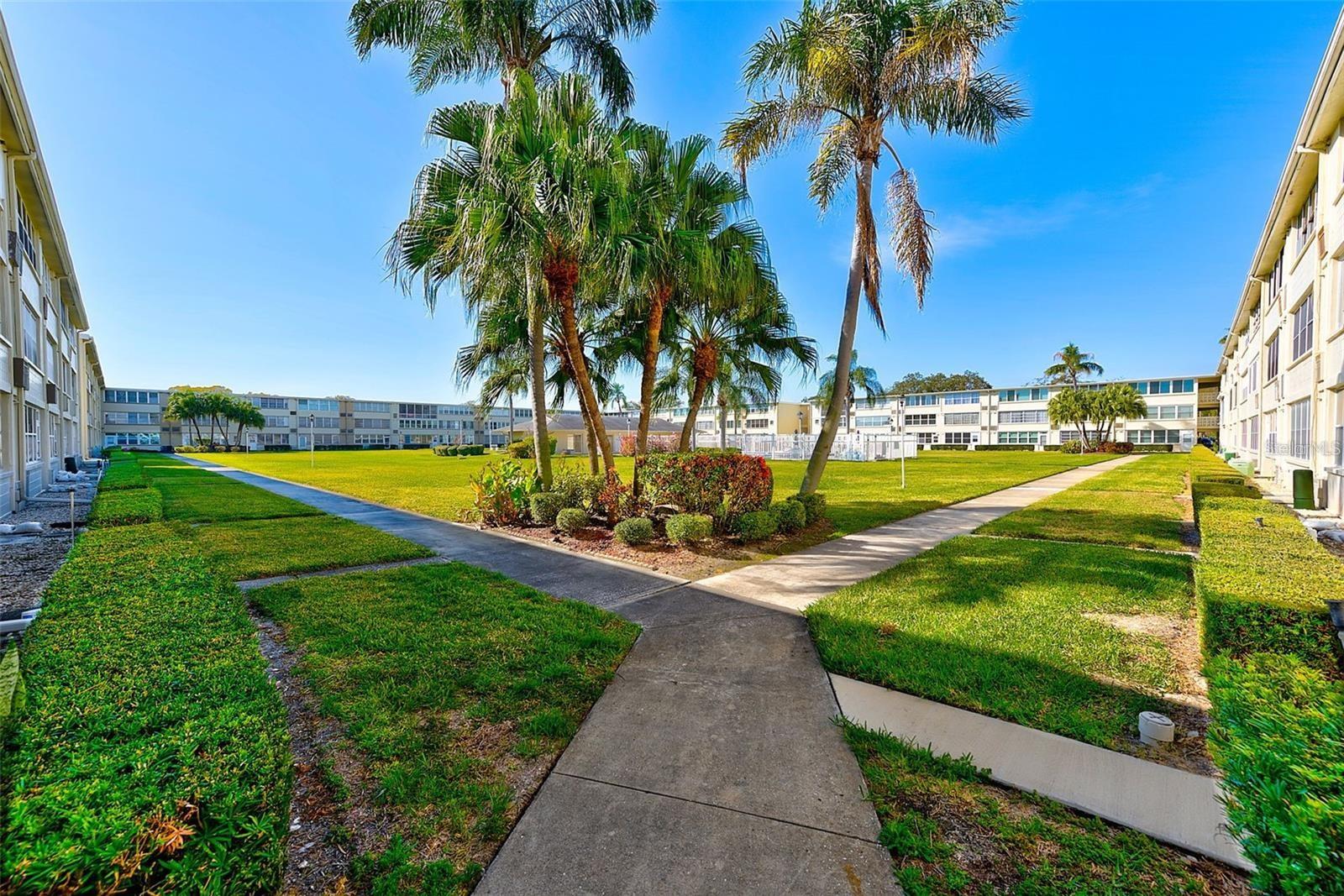 8100 DR MARTIN LUTHER KING JR ST N #208, ST PETERSBURG, FL, 33702