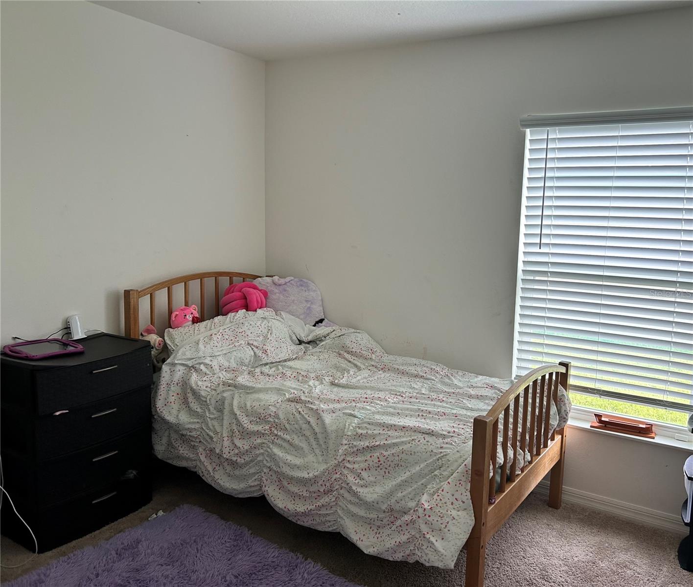 1391 SWAN LAKE CIR, DUNDEE, FL, 33838