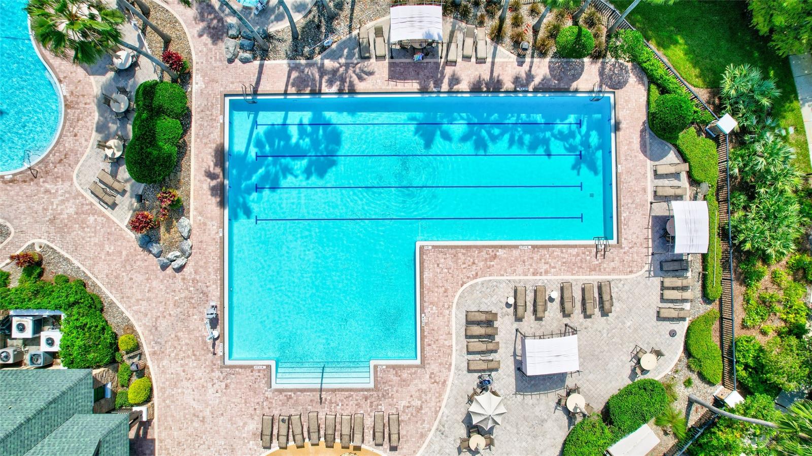 7806 GRASMERE DR, LAND O LAKES, FL, 34637