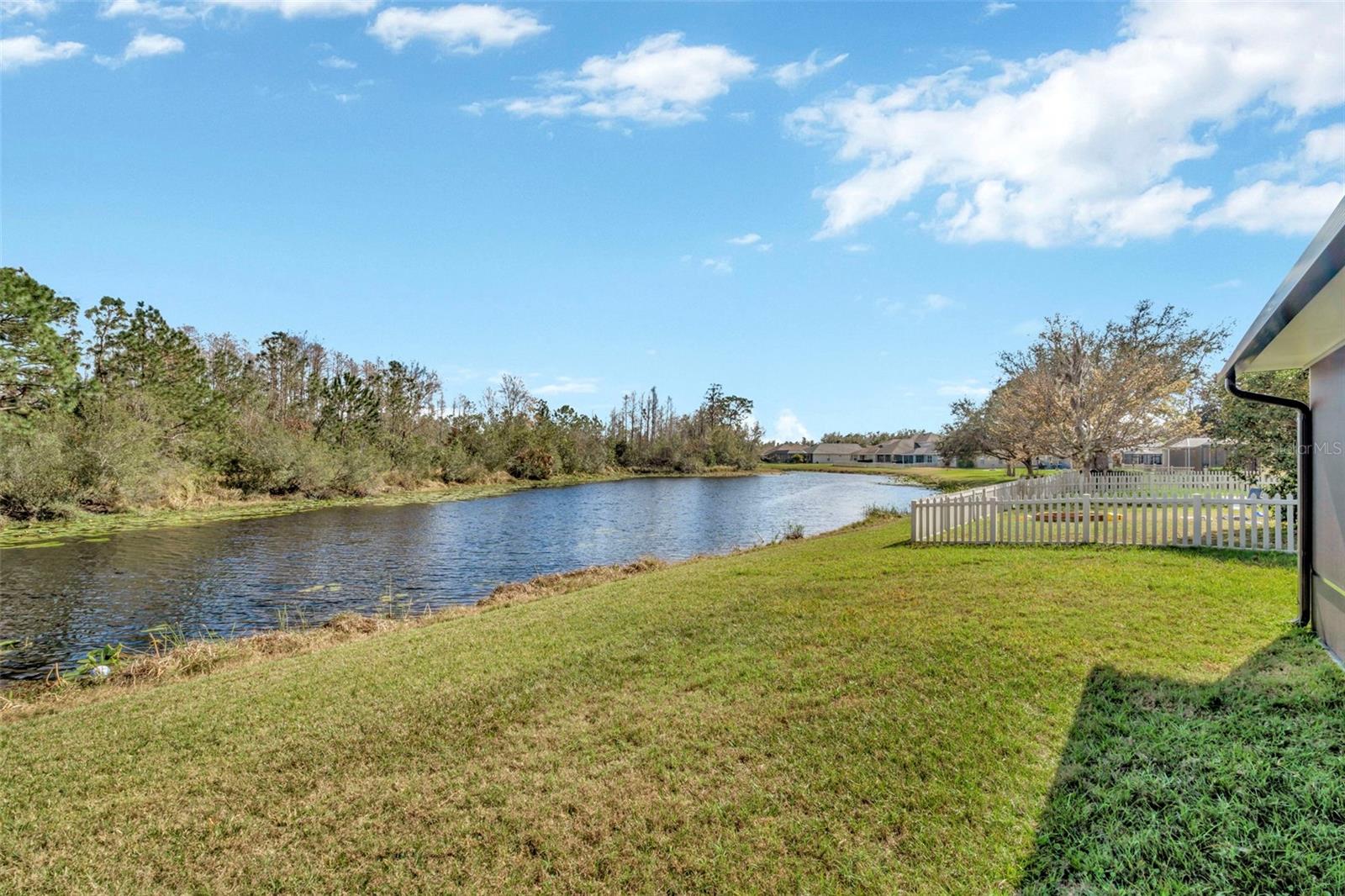 7806 GRASMERE DR, LAND O LAKES, FL, 34637