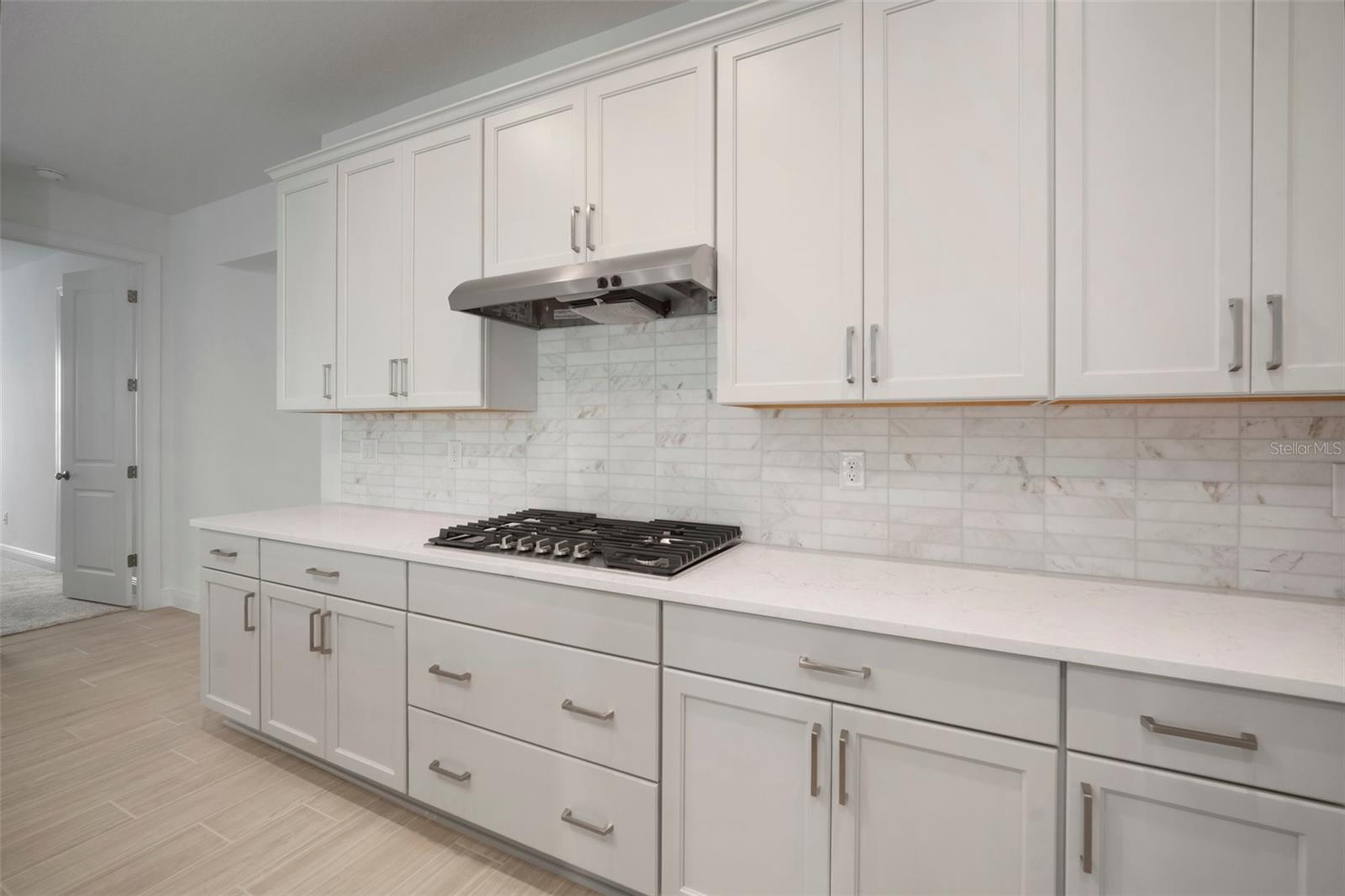 6216 BROAD FIELD AVE, APOLLO BEACH, FL, 33572