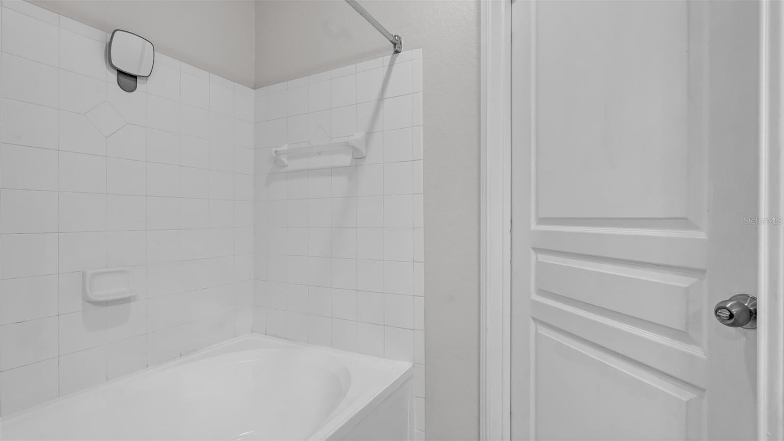 5125 PALM SPRINGS BLVD #4308, TAMPA, FL, 33647
