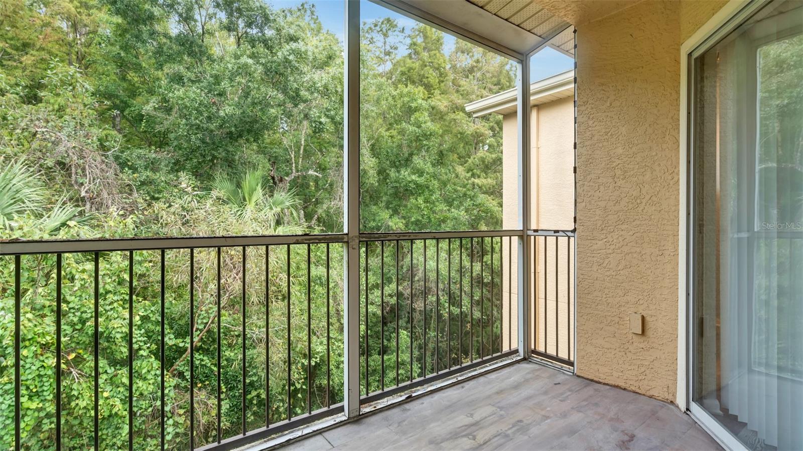 5125 PALM SPRINGS BLVD #4308, TAMPA, FL, 33647
