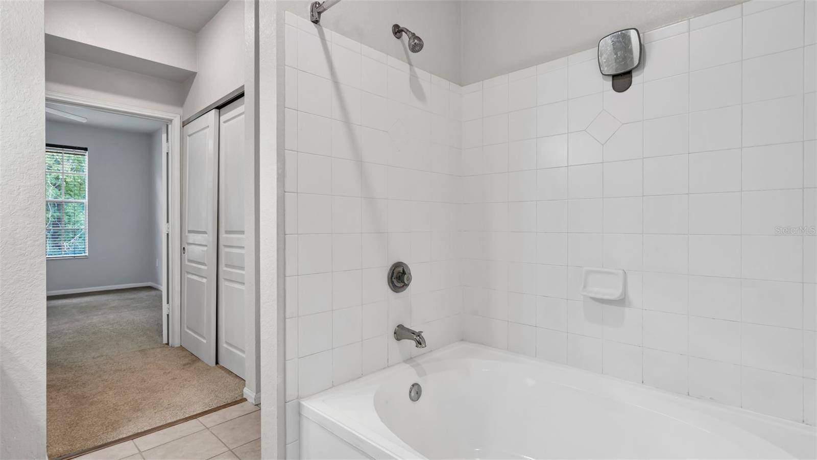 5125 PALM SPRINGS BLVD #4308, TAMPA, FL, 33647