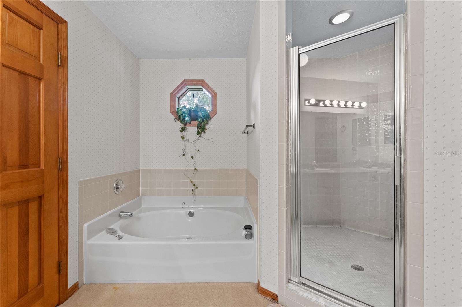 3515 SPRINGVILLE DR, VALRICO, FL, 33596