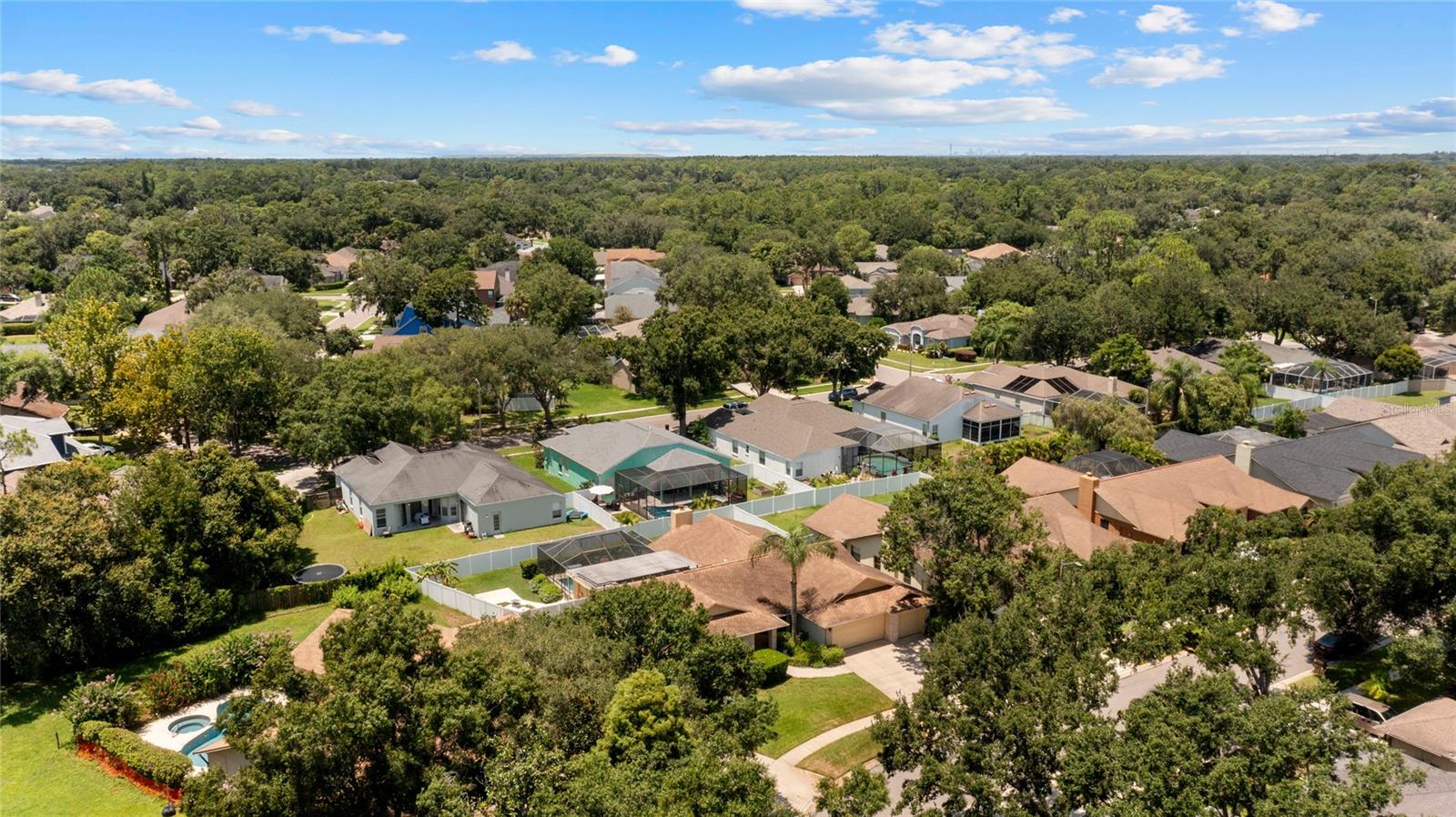 3515 SPRINGVILLE DR, VALRICO, FL, 33596
