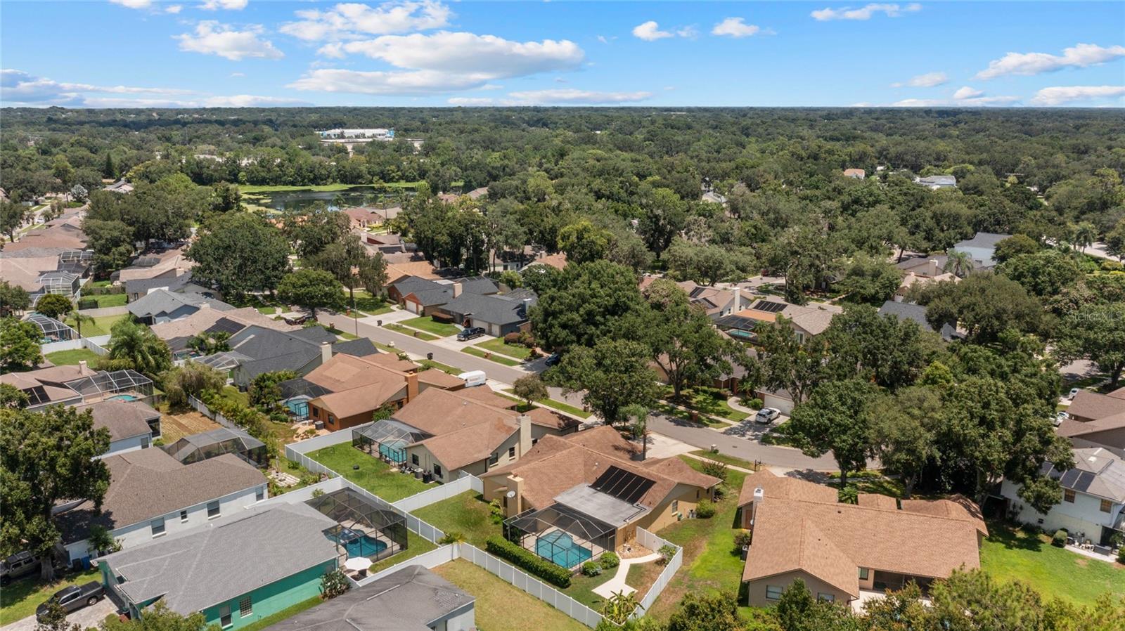 3515 SPRINGVILLE DR, VALRICO, FL, 33596