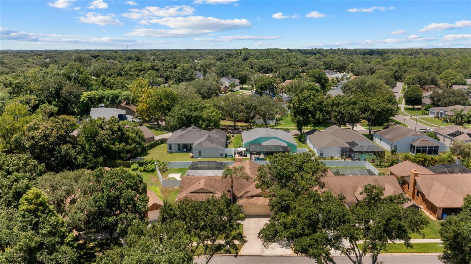 3515 SPRINGVILLE DR, VALRICO, FL, 33596