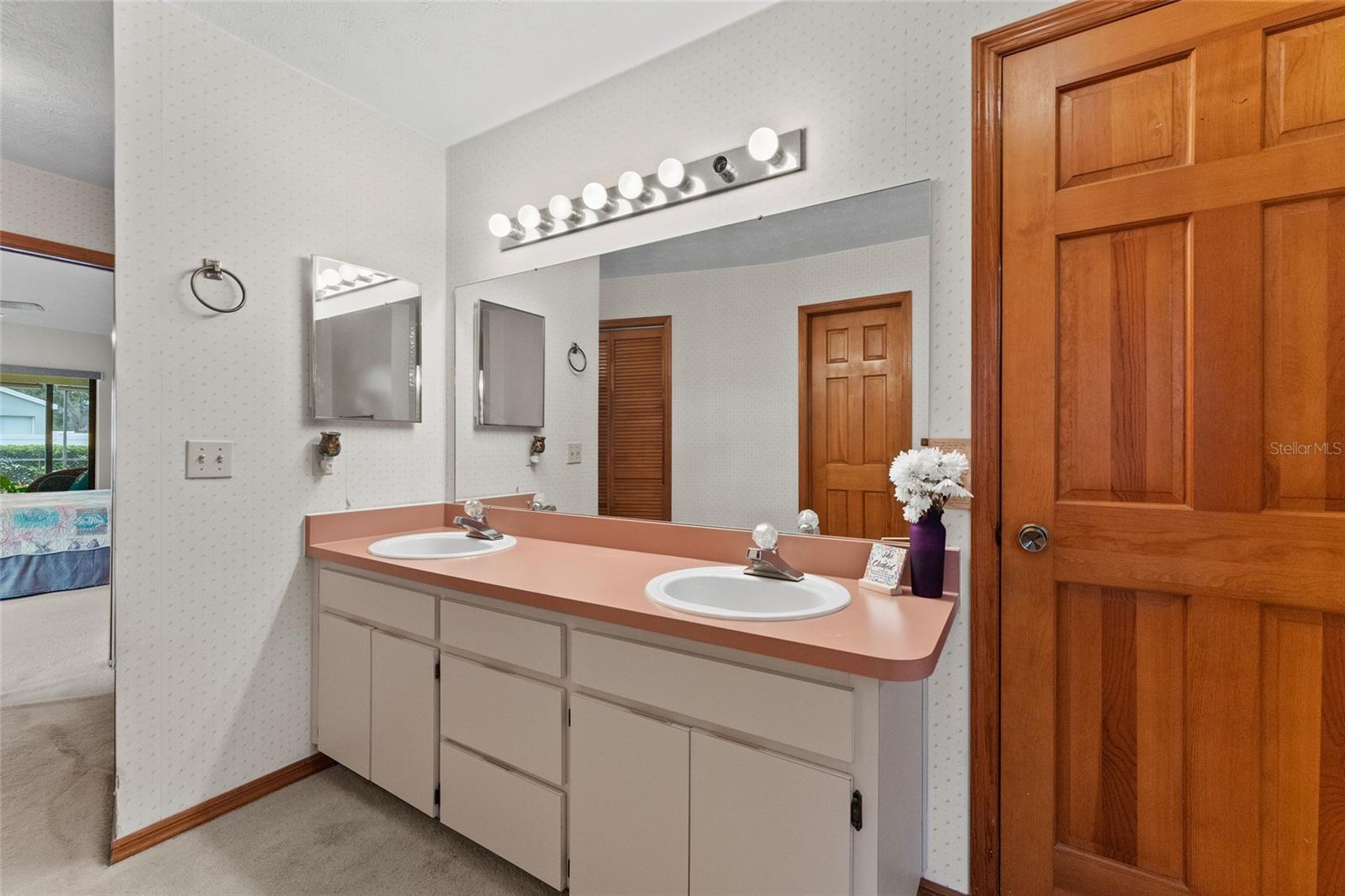3515 SPRINGVILLE DR, VALRICO, FL, 33596