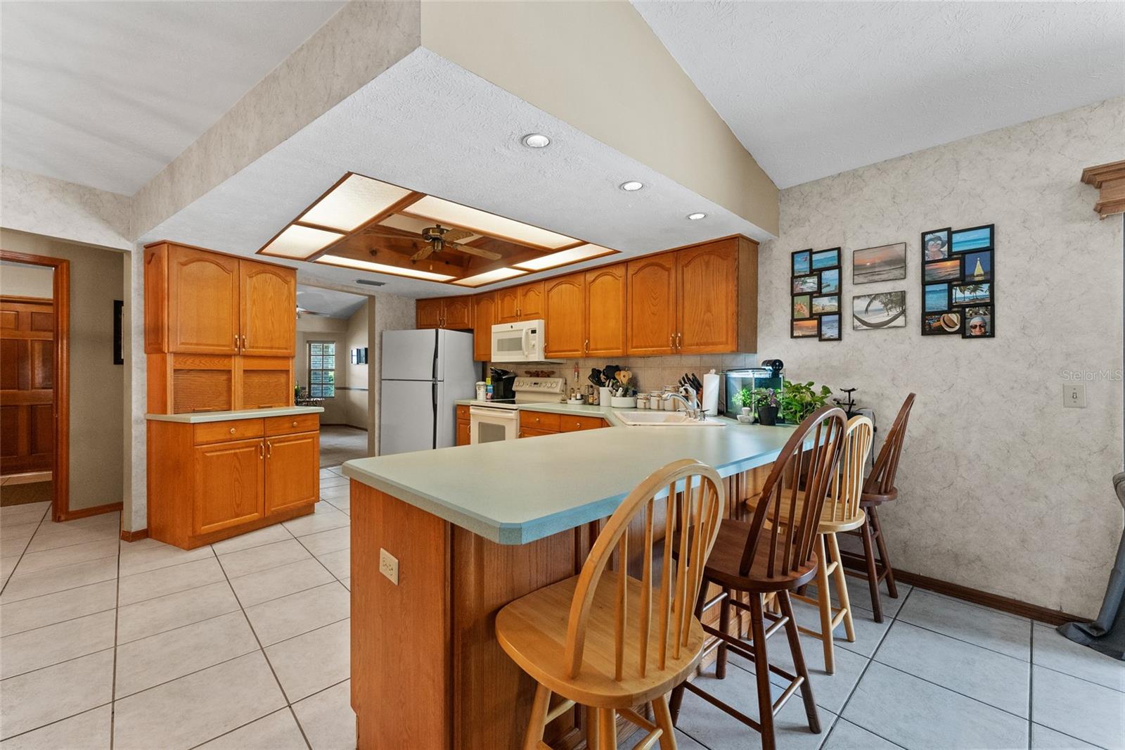 3515 SPRINGVILLE DR, VALRICO, FL, 33596