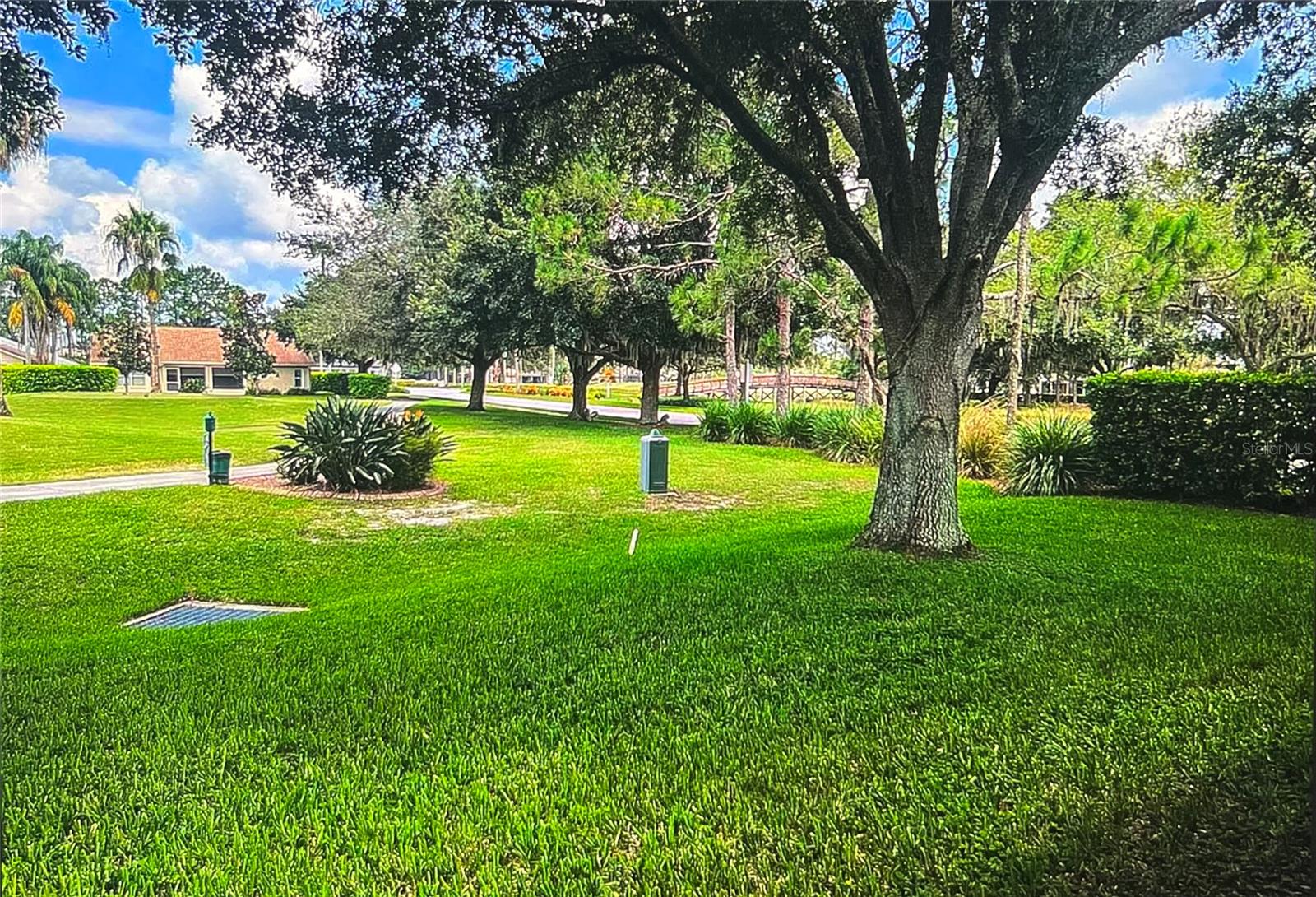 1235 ALANBROOKE ST, TRINITY, FL, 34655