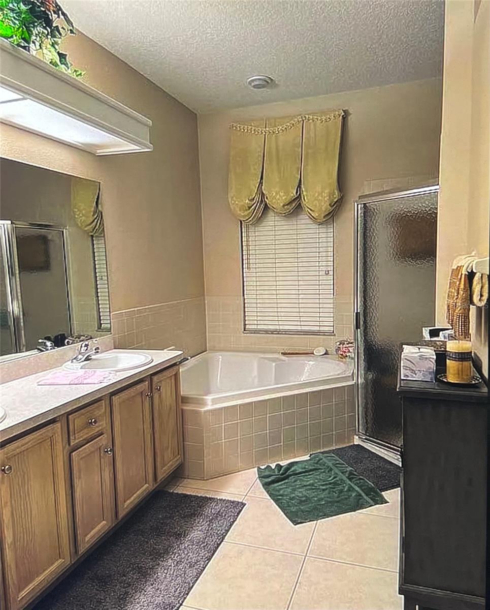 1235 ALANBROOKE ST, TRINITY, FL, 34655