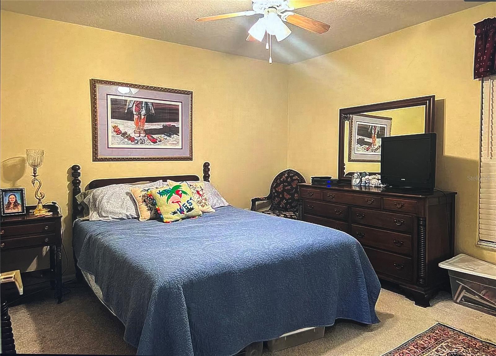 1235 ALANBROOKE ST, TRINITY, FL, 34655