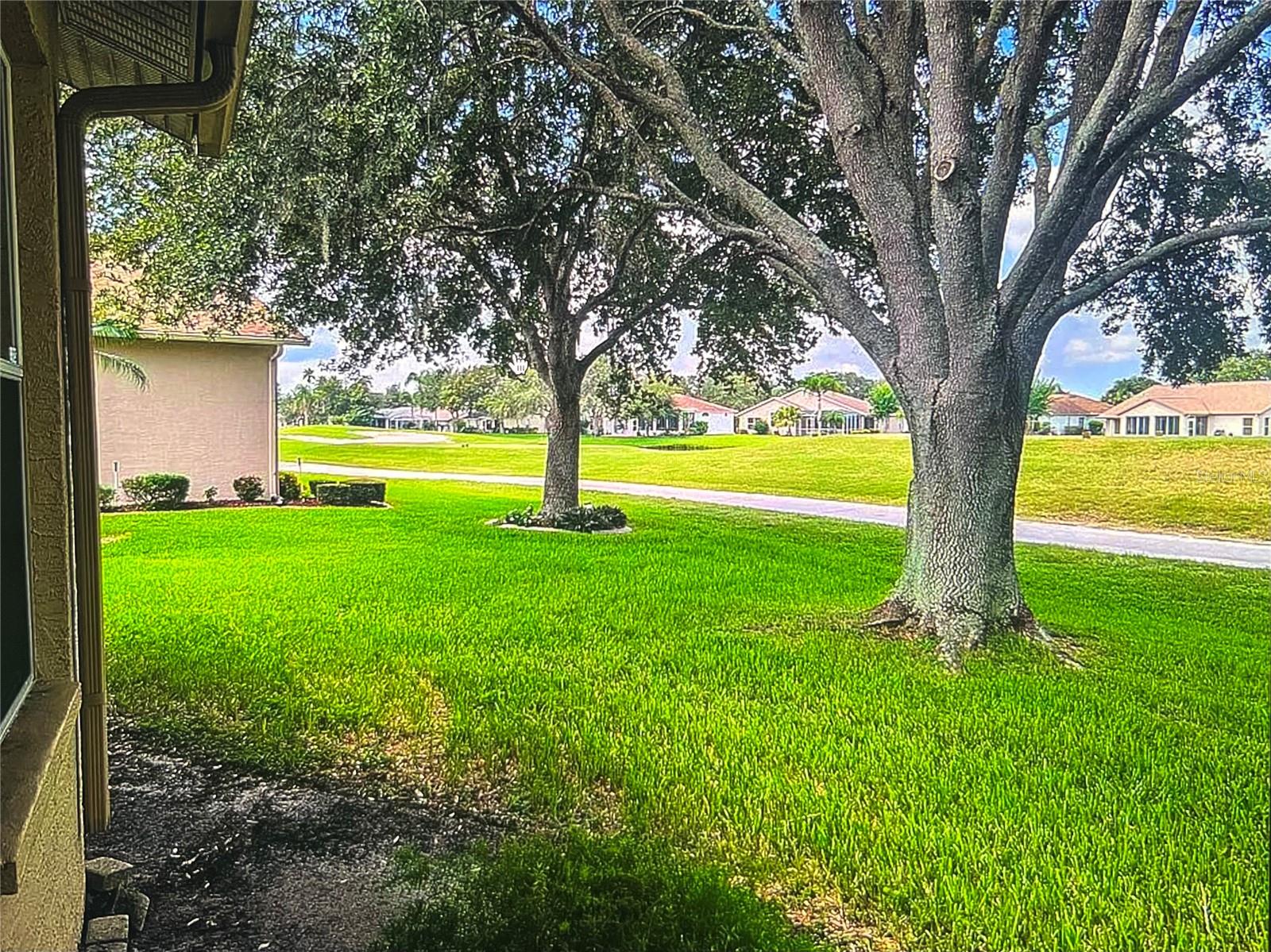 1235 ALANBROOKE ST, TRINITY, FL, 34655