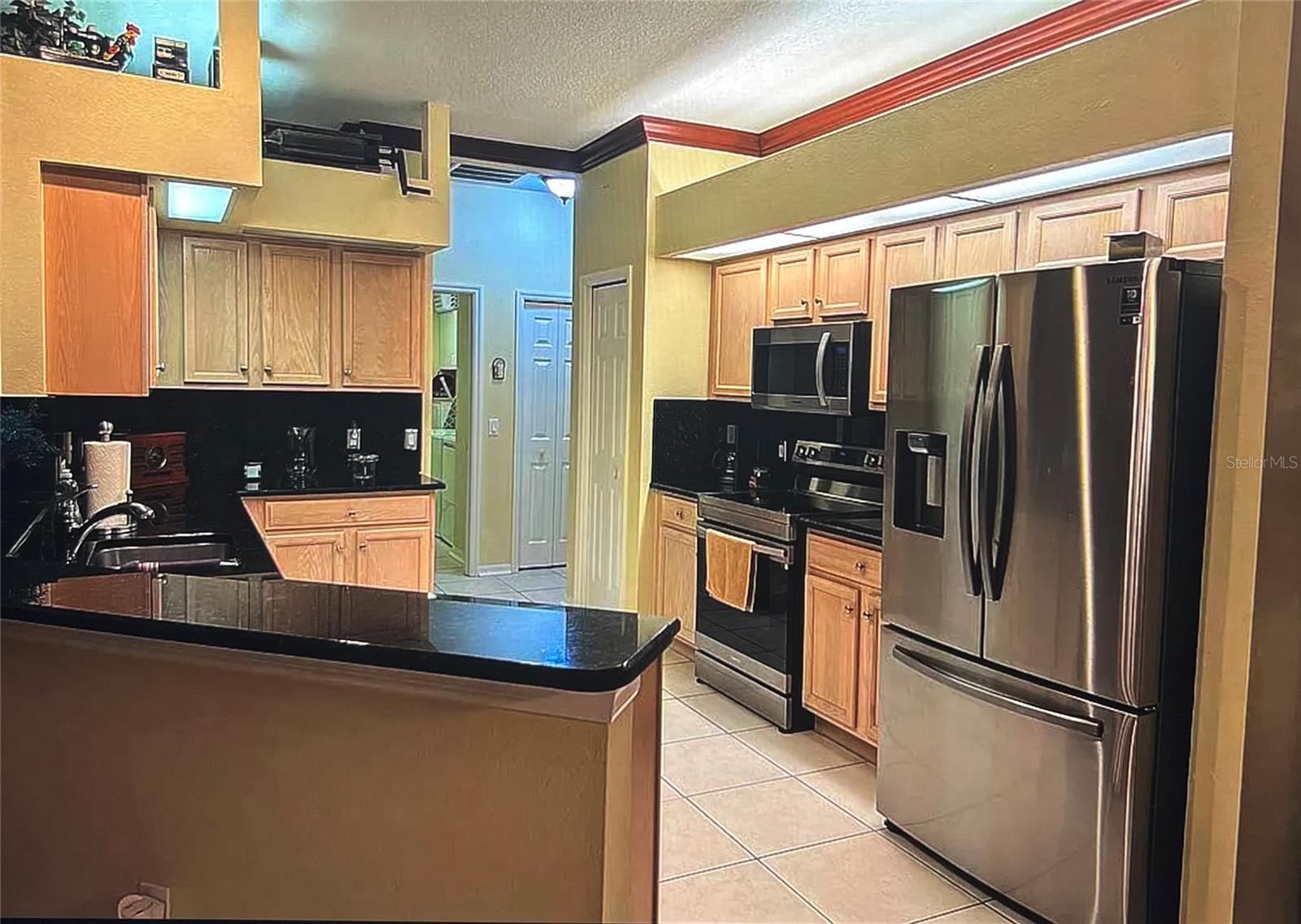 1235 ALANBROOKE ST, TRINITY, FL, 34655