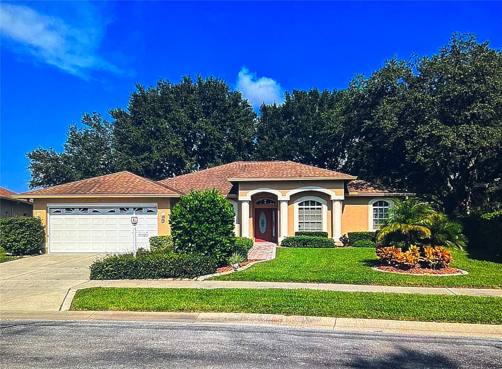 1235 ALANBROOKE ST, TRINITY, FL, 34655