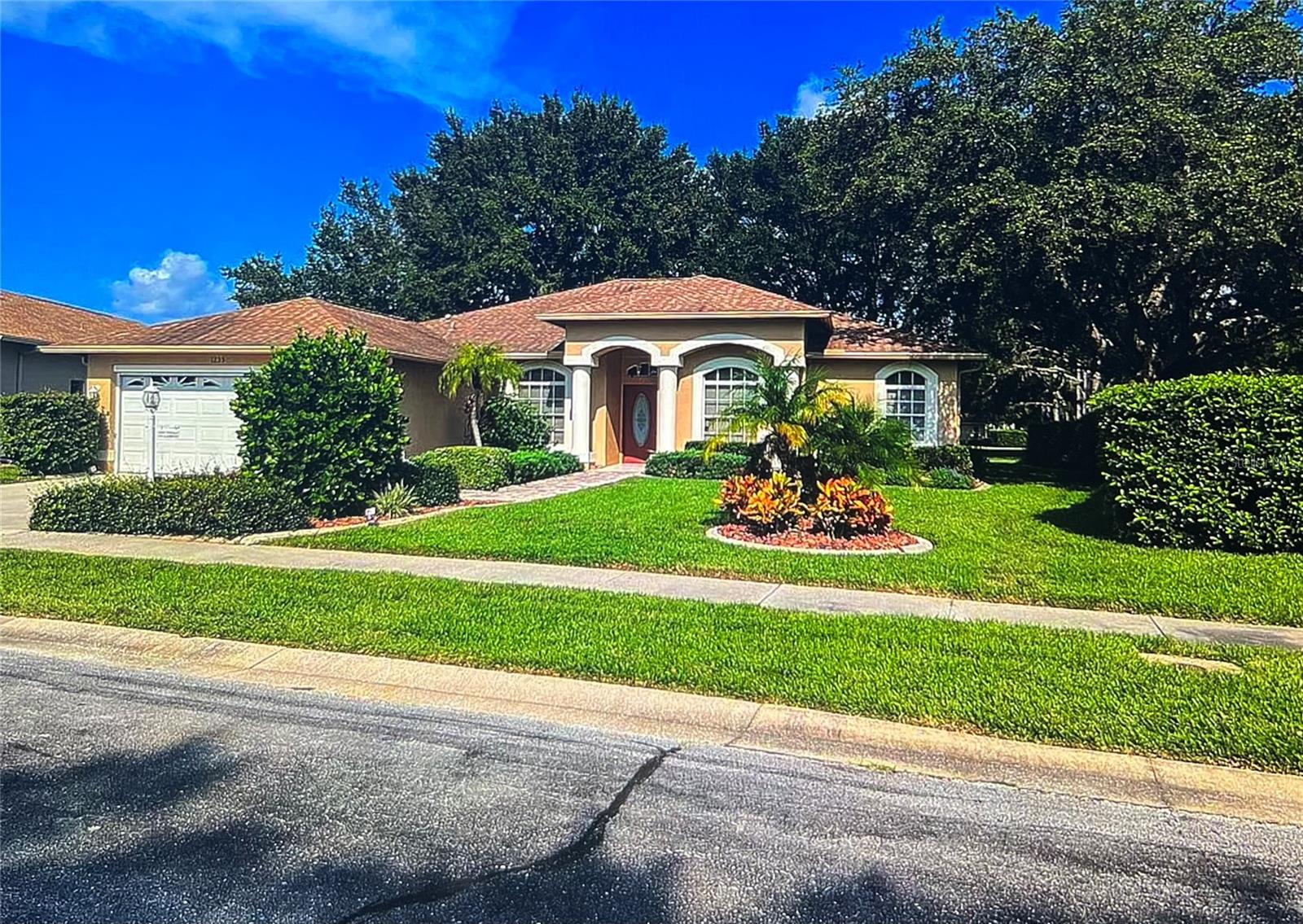 1235 ALANBROOKE ST, TRINITY, FL, 34655