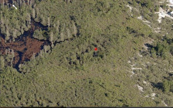 HOLOPAW GROVES RD, ST CLOUD, FL, 34773