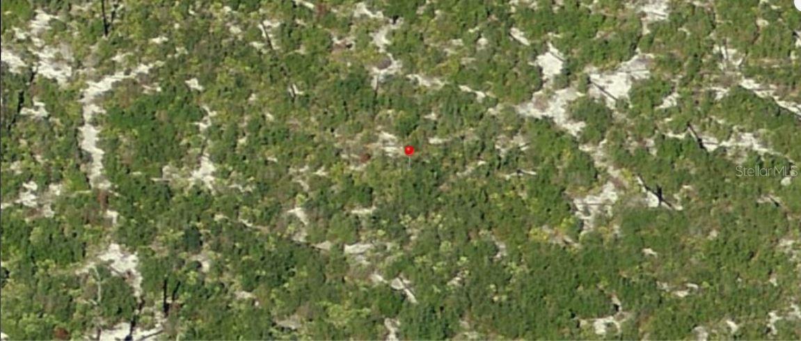HOLOPAW GROVES RD, ST CLOUD, FL, 34773
