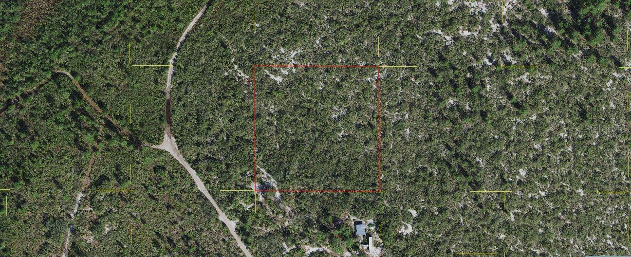HOLOPAW GROVES RD, ST CLOUD, FL, 34773