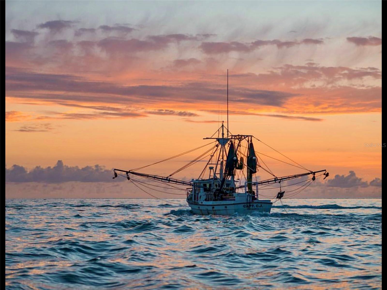 8906 GULF ST, PLACIDA, FL, 33946