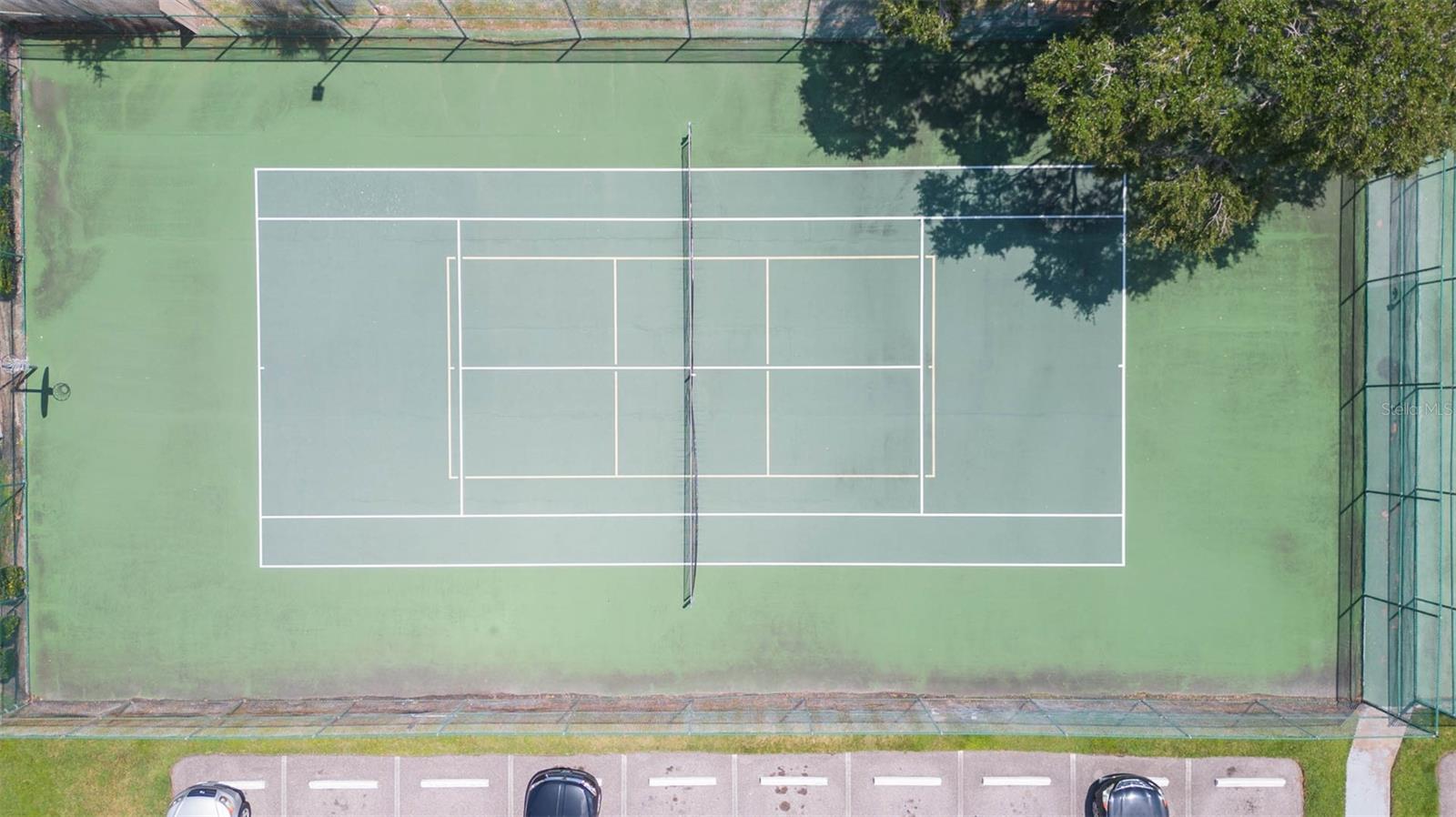 455 ALT 19 S #175, PALM HARBOR, FL, 34683