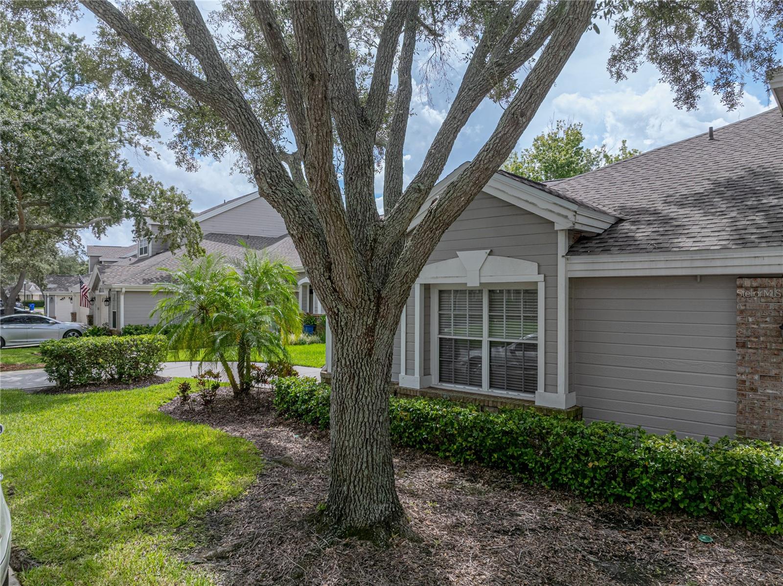 3141 STONEWATER DR, LAKELAND, FL, 33803
