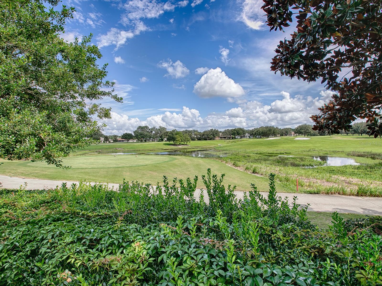 17523 SE 84TH FOXGROVE AVE, THE VILLAGES, FL, 32162