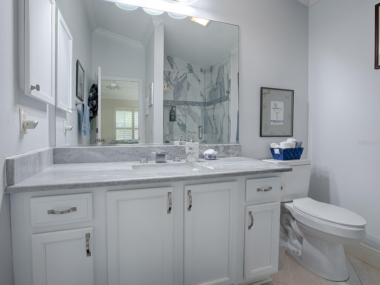 17523 SE 84TH FOXGROVE AVE, THE VILLAGES, FL, 32162