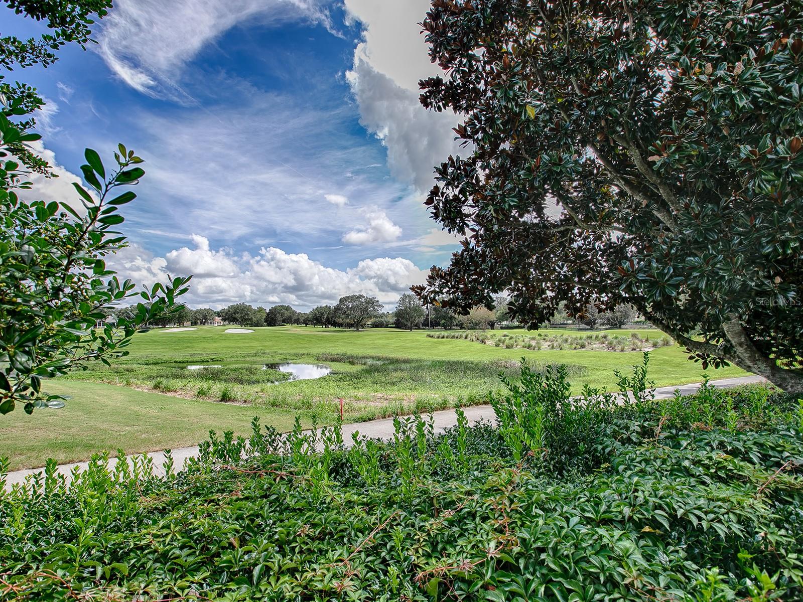 17523 SE 84TH FOXGROVE AVE, THE VILLAGES, FL, 32162
