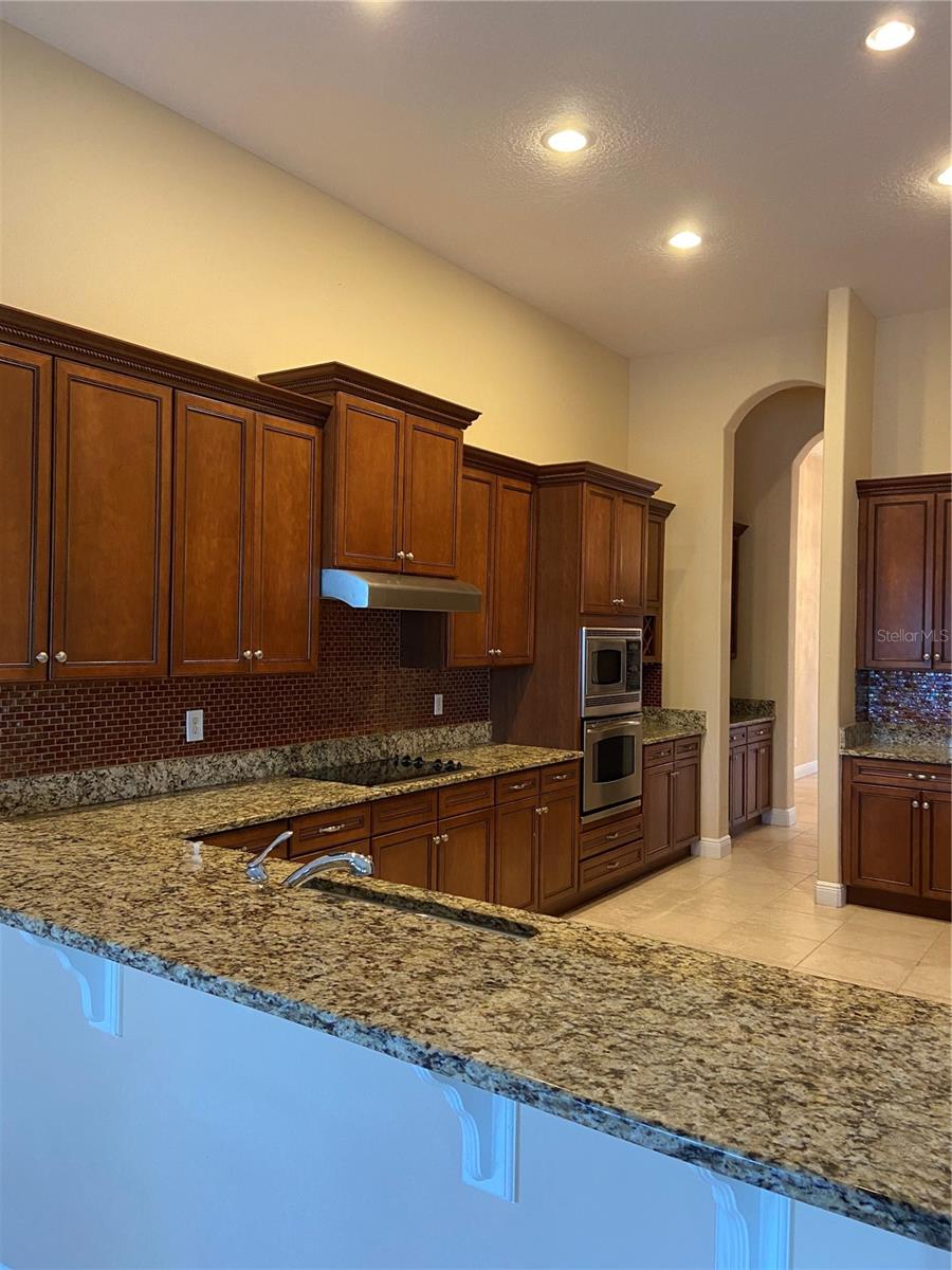 10603 CAYMAN ISLE CT, TAMPA, FL, 33647