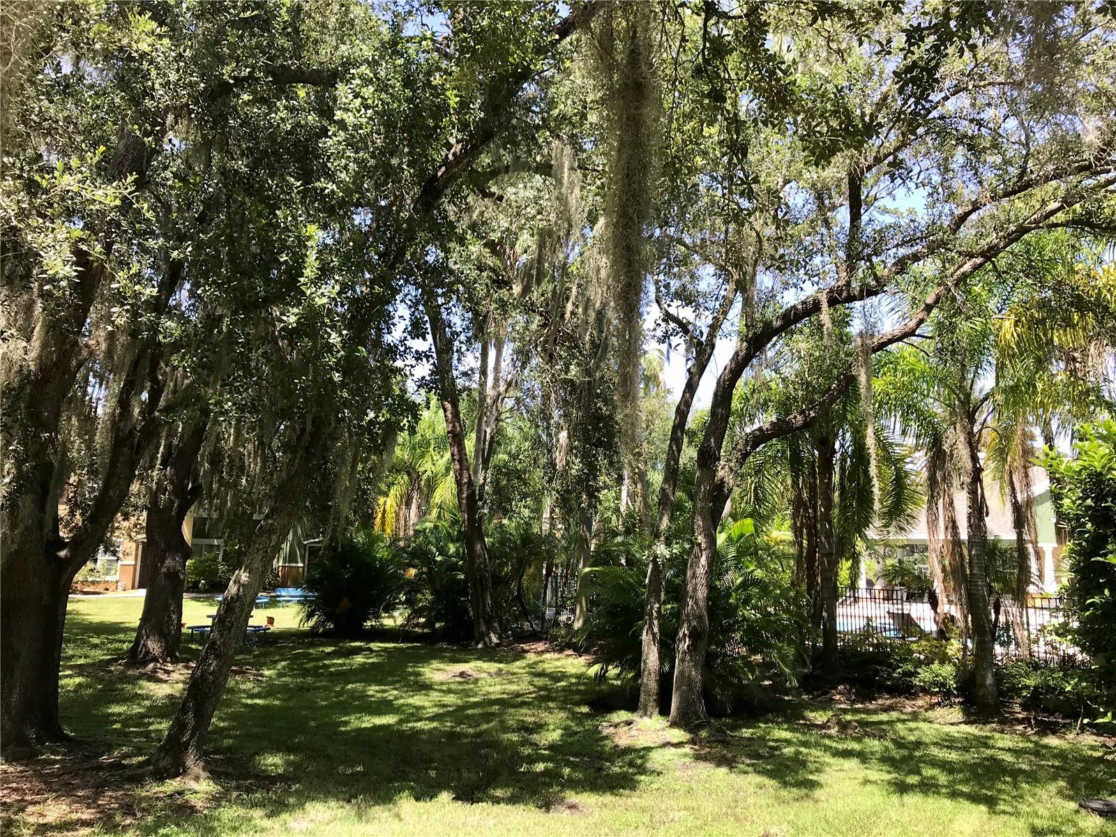 4352 S KIRKMAN RD #1, ORLANDO, FL, 32811