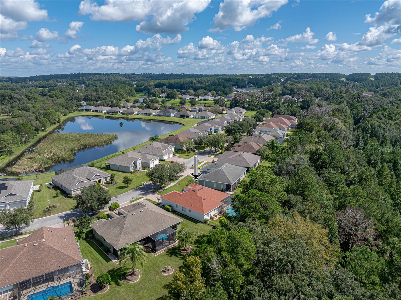 19808 TATTNALL WAY, BROOKSVILLE, FL, 34601