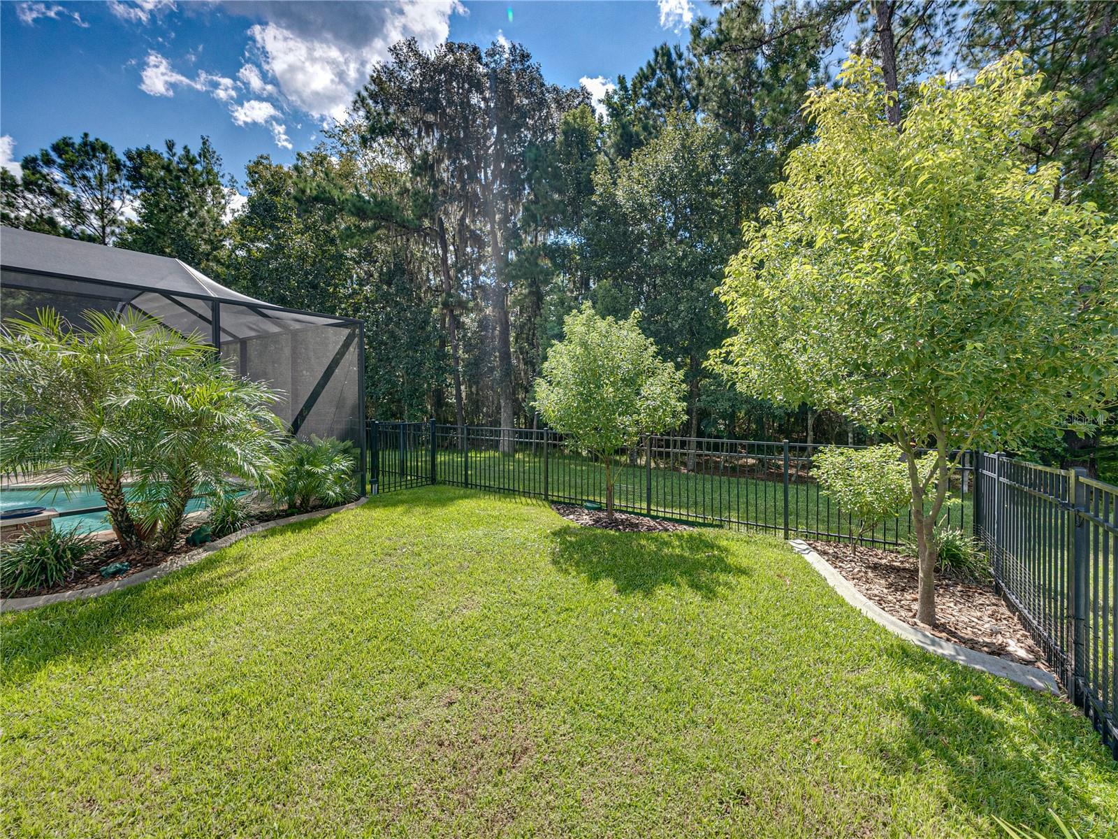 19808 TATTNALL WAY, BROOKSVILLE, FL, 34601
