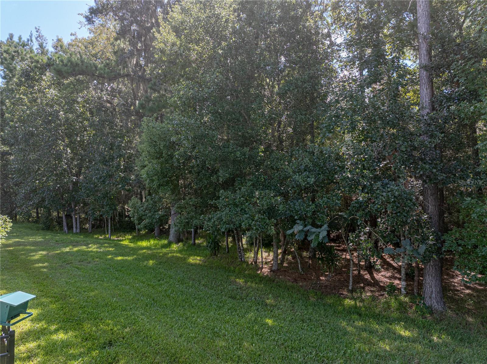 19808 TATTNALL WAY, BROOKSVILLE, FL, 34601