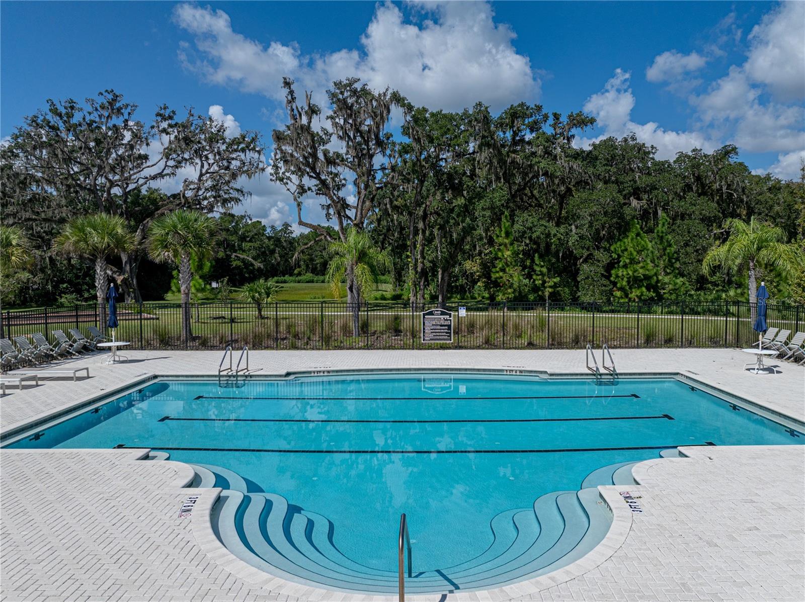 19808 TATTNALL WAY, BROOKSVILLE, FL, 34601