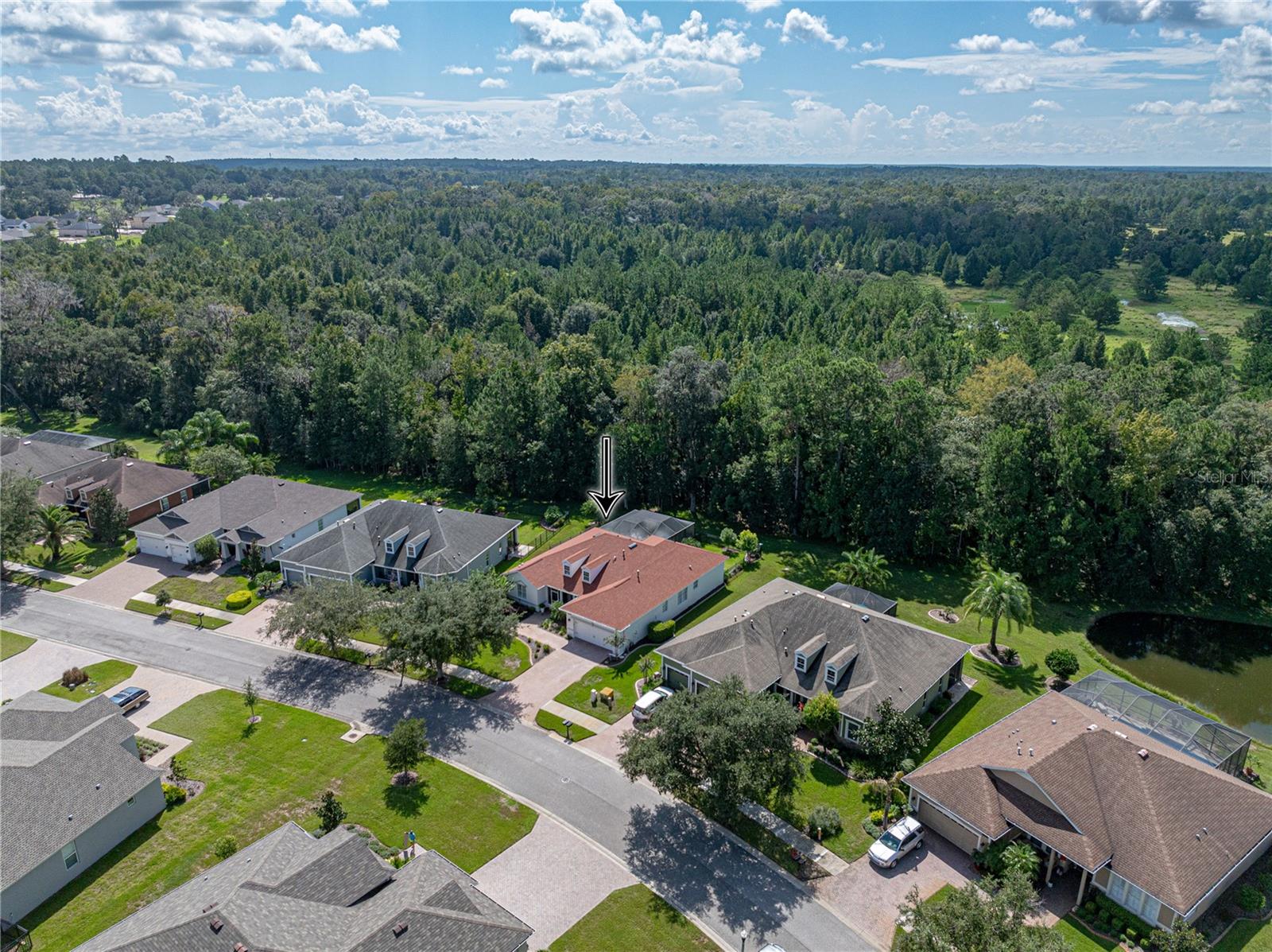 19808 TATTNALL WAY, BROOKSVILLE, FL, 34601