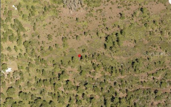 HOLOPAW GROVES RD, ST CLOUD, FL, 34773