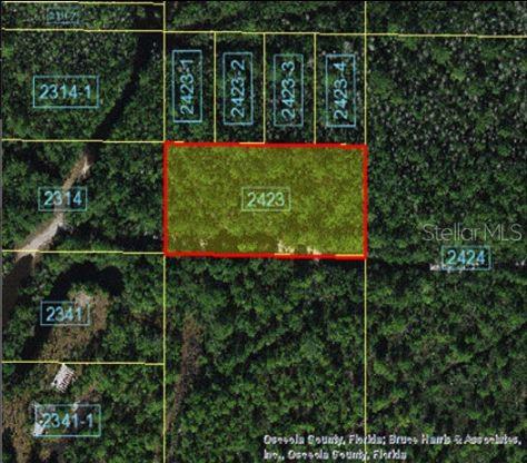 HOLOPAW GROVES RD, ST CLOUD, FL, 34773