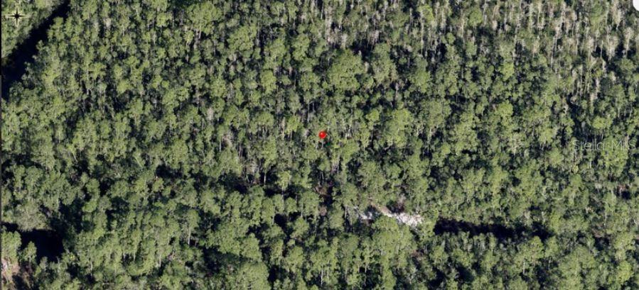 HOLOPAW GROVES RD, ST CLOUD, FL, 34773