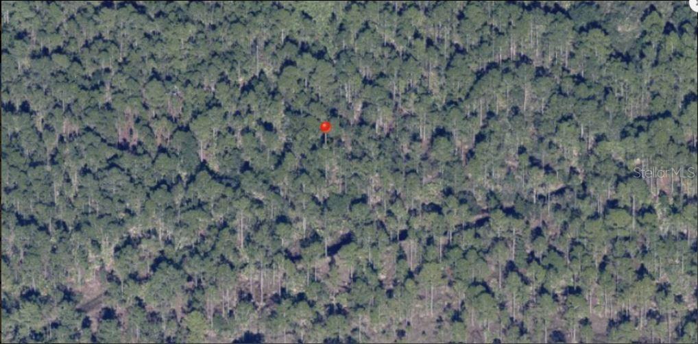 HOLOPAW GROVES RD, ST CLOUD, FL, 34773