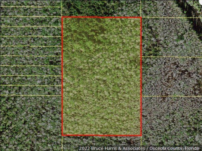 HOLOPAW GROVES RD, ST CLOUD, FL, 34773